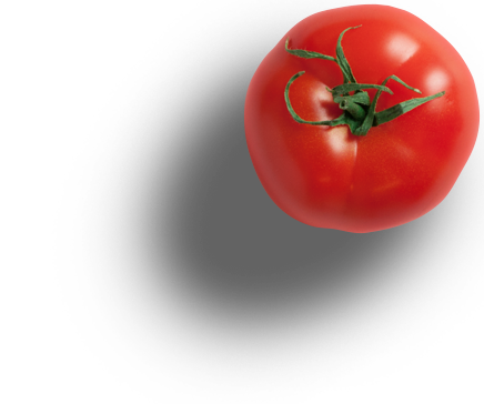 tomatePal02